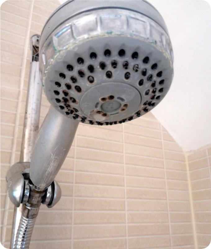 A close-up of a shower head in a bathroom fixed on a tiled wall. The shower head looks visibly worn out, it is covered with limescale which is a hard, chalky deposit, made out of minerals that came from water.