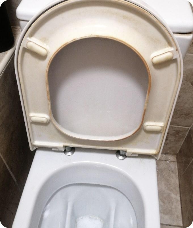 A close shot of a white porcelain toilet with a lifted white toilet seat. The toilet appears to be dirty while the toilet seat is significantly stained.