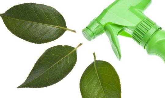 a green spray bottle and three leaves positioned next to the bottle's nozzle