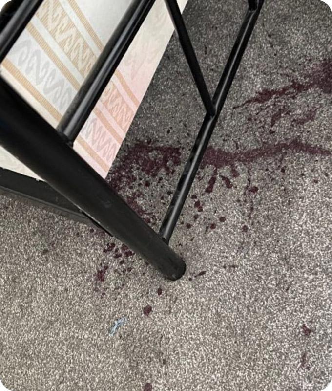 The photograph captures a dark grey wall-to-wall carpet in a bedroom that is heavily stained with red wine.