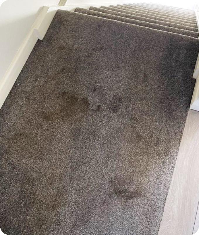 A grey-blue carpeted staircase which has many stains and smudges before the cleaning process.