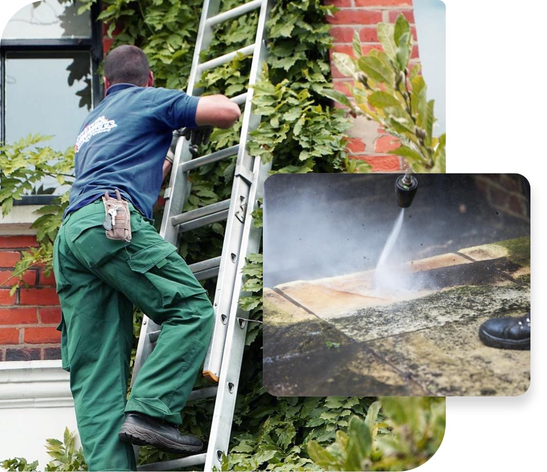 Gardener climbing ladder, cleaning wall.