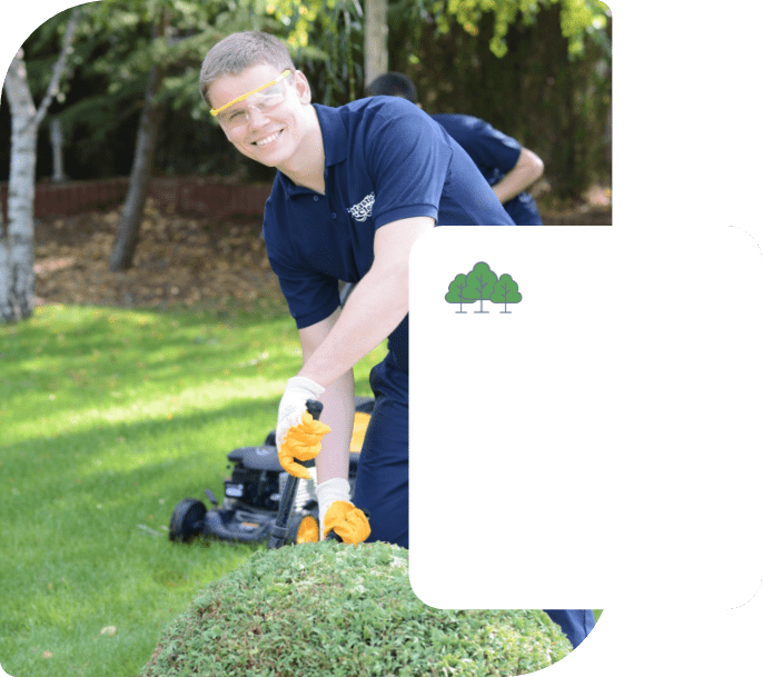 The image shows 2 gardeners wearing dark blue Fantastic Services uniforms who providing a garden maintenance service at a property. One of the gardeners is mowing the lawn with a black lawn mower while the other is using a handtool to trim a shrub
