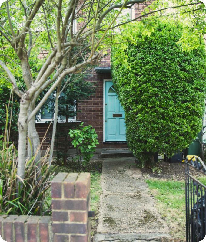 The image shows the same frontyard. It has been cleared of overgrowth. The tree and the shrub have been pruned.