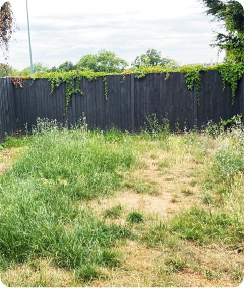 The image shows an overgrown backyard of a property. It is surrounded by a black wooden fence.