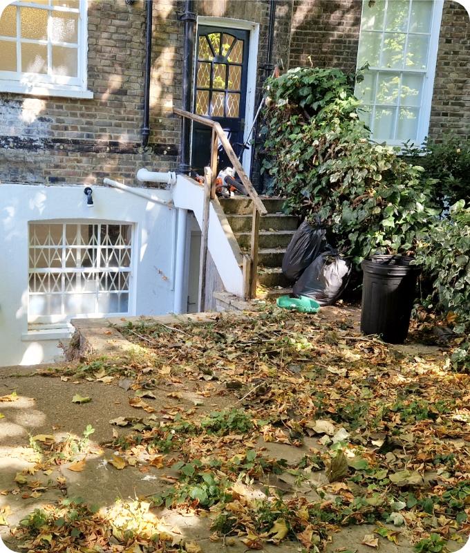 The image shows a neglected flagstone walkway around a house with growing weeds between the stones. There are also lots of fallen leaves on the ground. A shrub near the house appears quite overgrown and neglected.