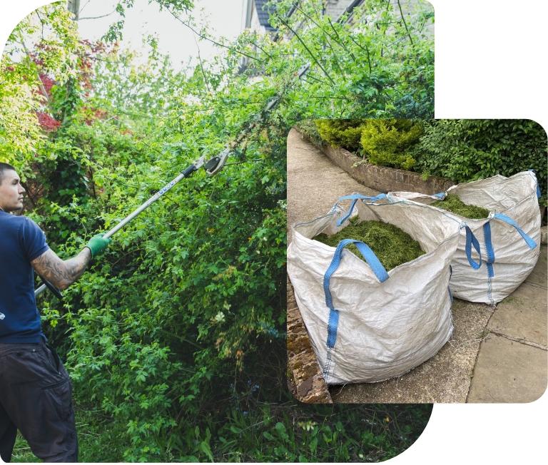 The image shows a gardener who is trimming an overgrown shrub. He is using a power tool with an extendable pole to remove the overgrown branches. The trimmings are collected in green waste bags.