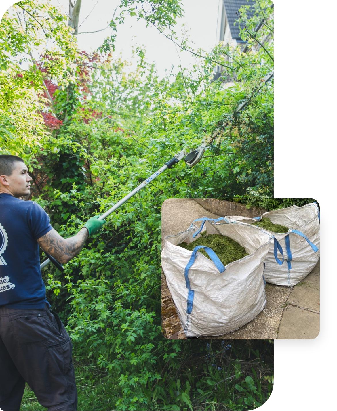 The image shows a gardener who is trimming an overgrown shrub. He is using a power tool with an extendable pole to remove the overgrown branches. The trimmings are collected in green waste bags.
