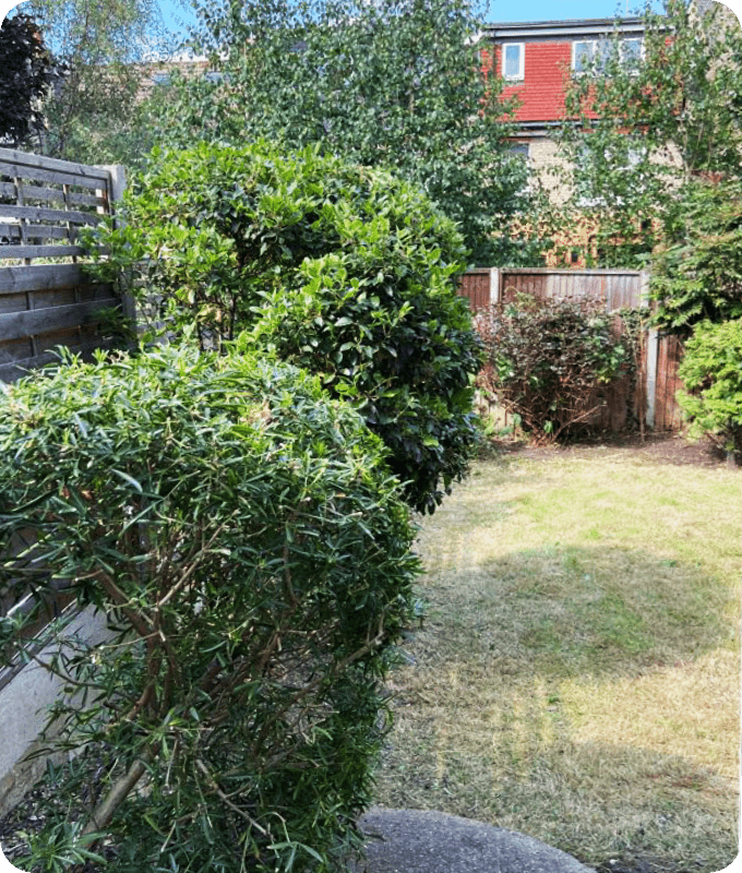 The same yard post clearance, now neat and inviting, with all debris removed, and the space next to the fence can be seen.