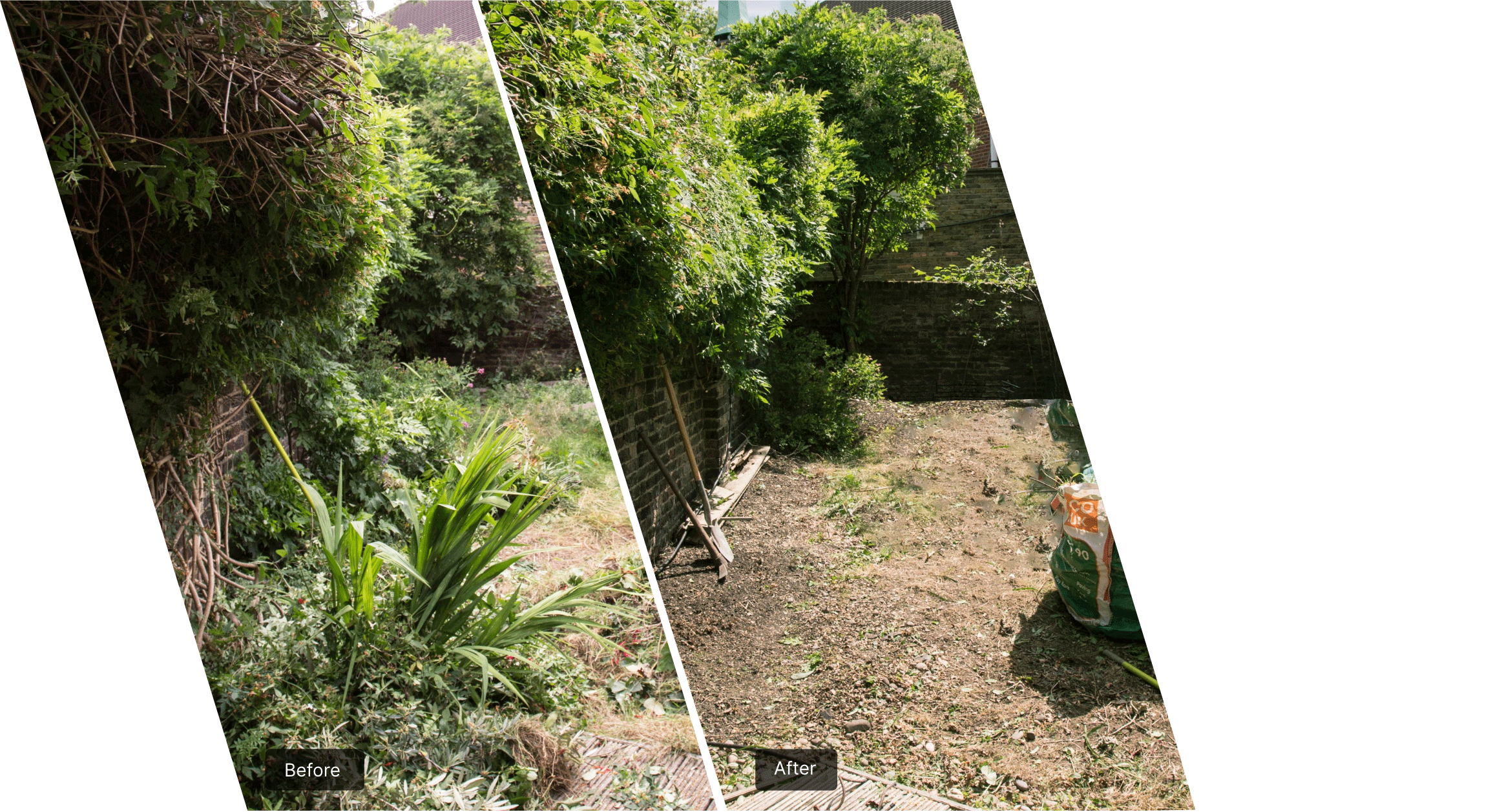The image shows a before-and-after collage of photos of one corner of a garden. On the left side, the garden is overgrown. The right side photo is of the same corner but it has been cleared and it looks neat and maintained.