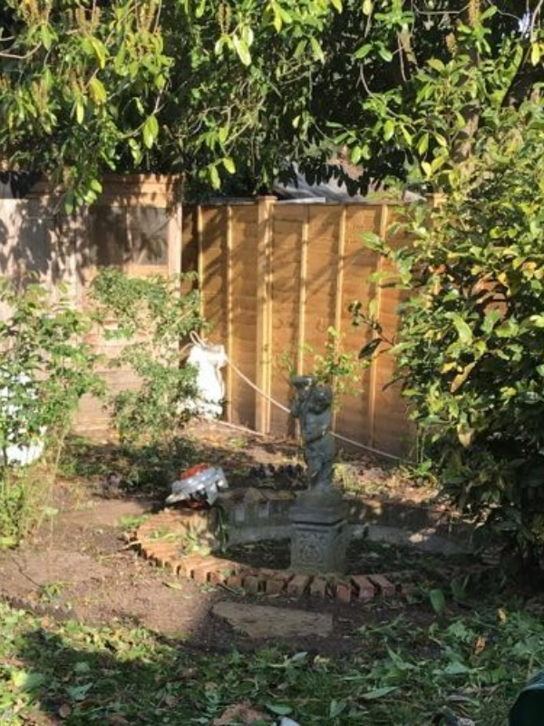 Refreshed outdoor space after professional garden clearance and waste removal