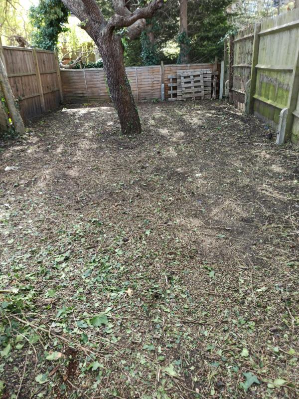 Backyard cleaned and restored with trimmed shrubs