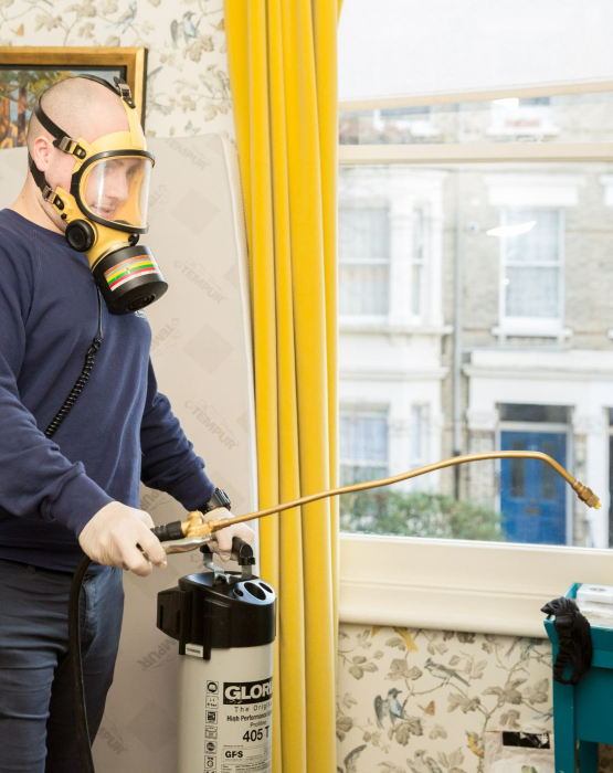 Discreet Pest Control Services in Bromley