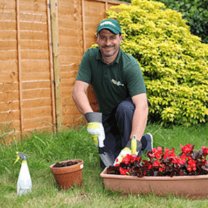 Gardeners Aylesbury