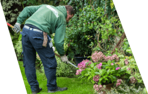 gardeners Near me in Sutton