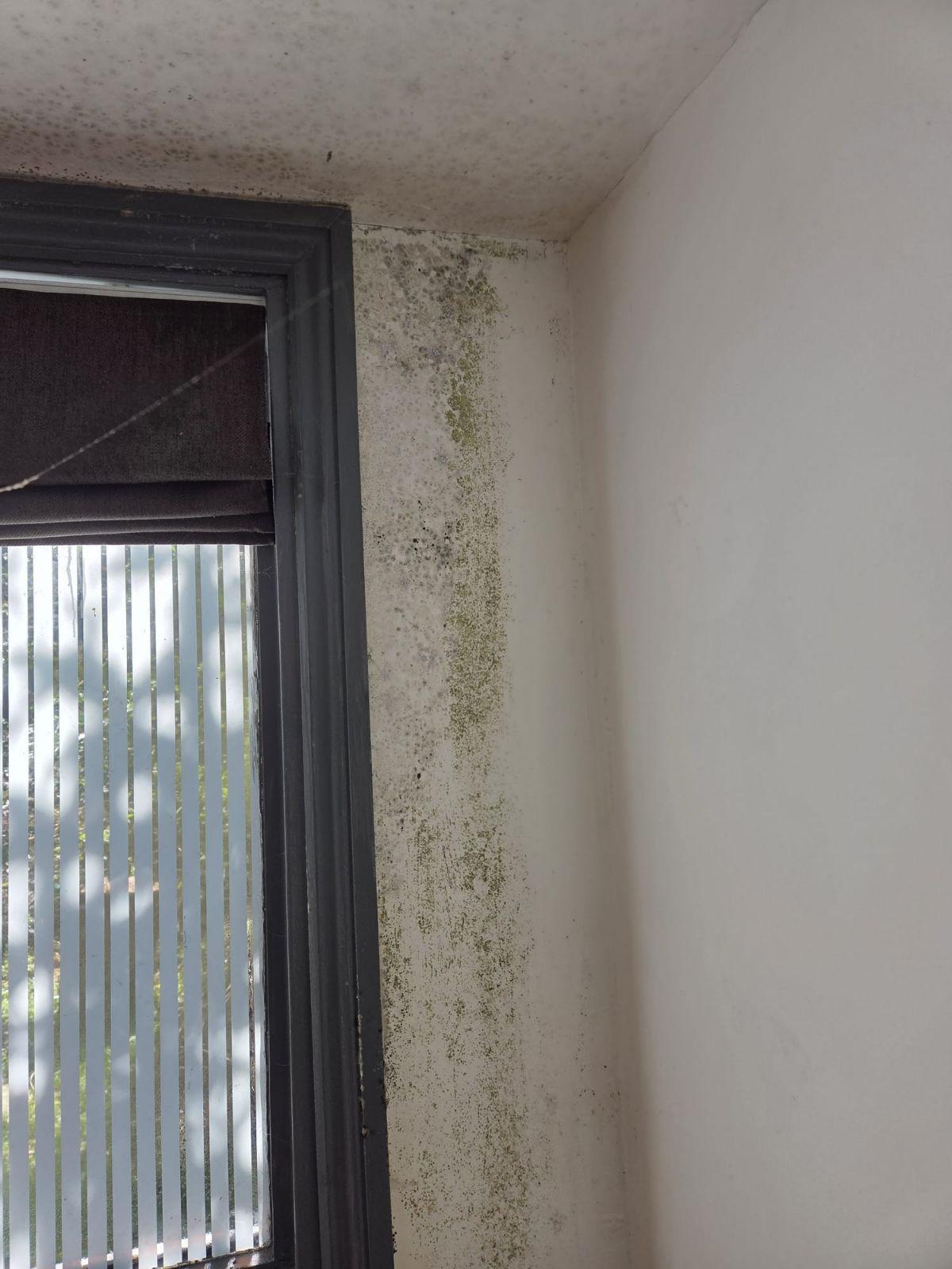 before mould removal around window