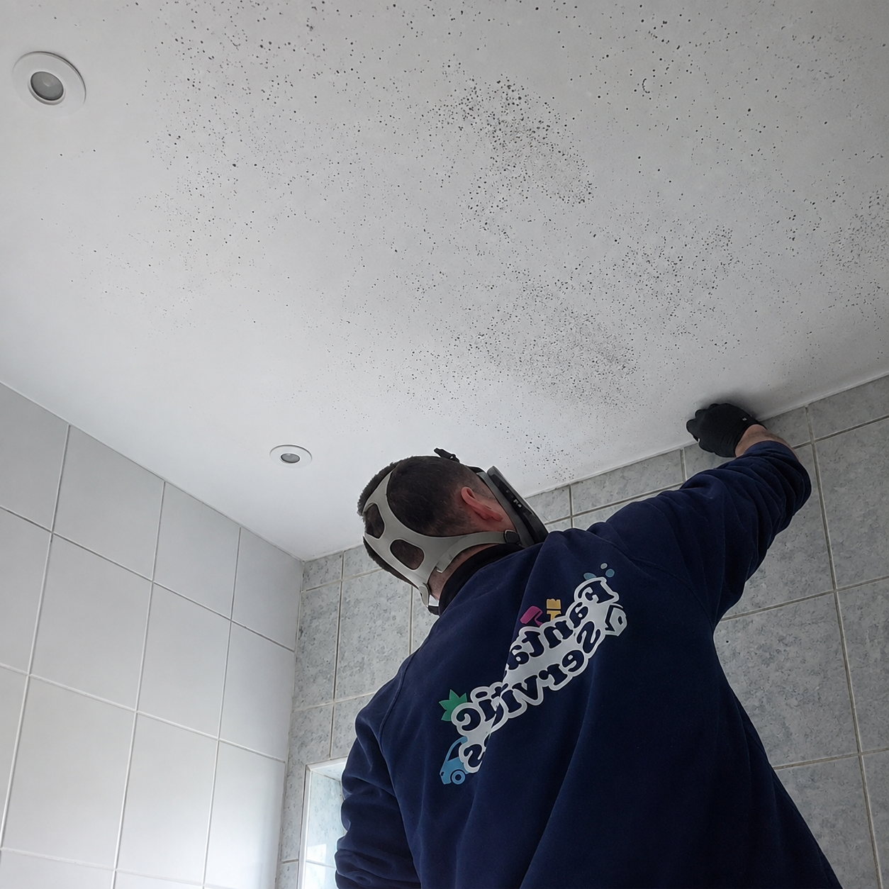 mould cleaning specialist