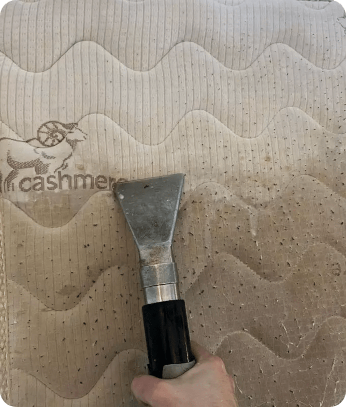 Person cleaning a mattress with a professional machine, ensuring a thorough removal of dust and dirt.