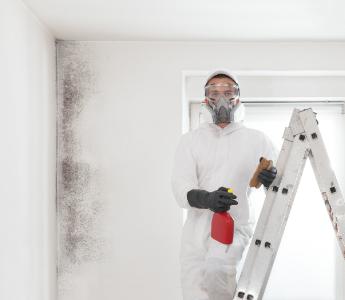 a man cleaning black mould from the wall