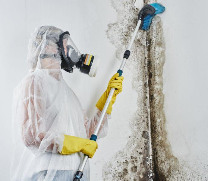 A mould removal exoert, wearing a protective suit and a mask with a filter, working on removing mould with a tool in his hands