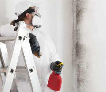 a professional with a protective suit cleaning mould