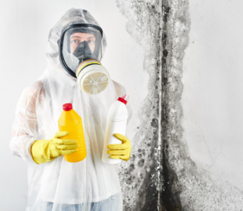 a mould removal expert wearing protective gear removes mould from a wall