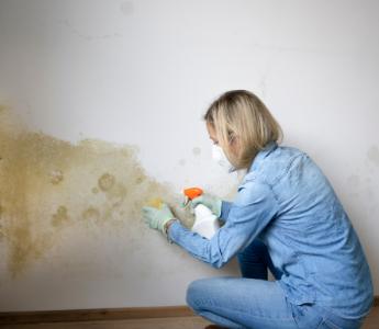 black mould removal