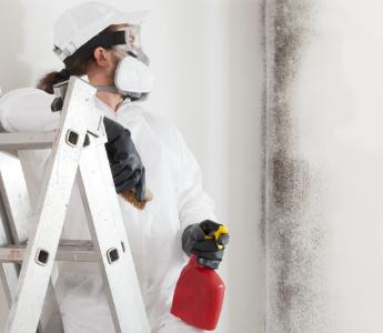 mould removal service in Harrow