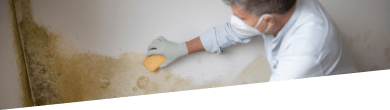 Mould removal service