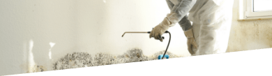 Mould removal professional with equipment and protective gear during mould eradication