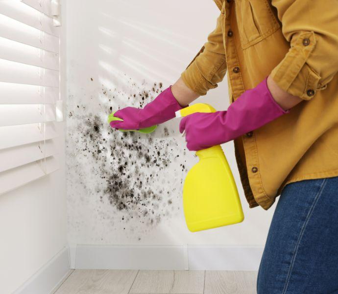 Person trying to remove mould from a wall using cloth and mould cleaner