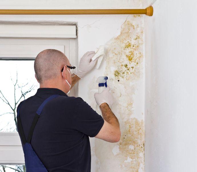 a professional with a blue t-shirt and protective gear working on removing mould next to a window