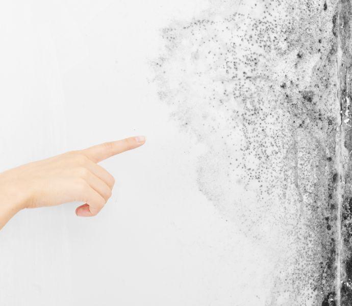 Picture of a woman's hand pointing to mould growth on a white wall