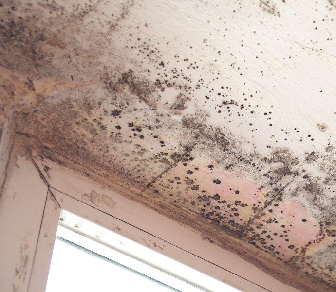 a part of a window and its frame with a ceiling covered in mould