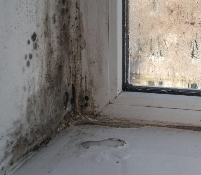 a wall next to a window infested with mould