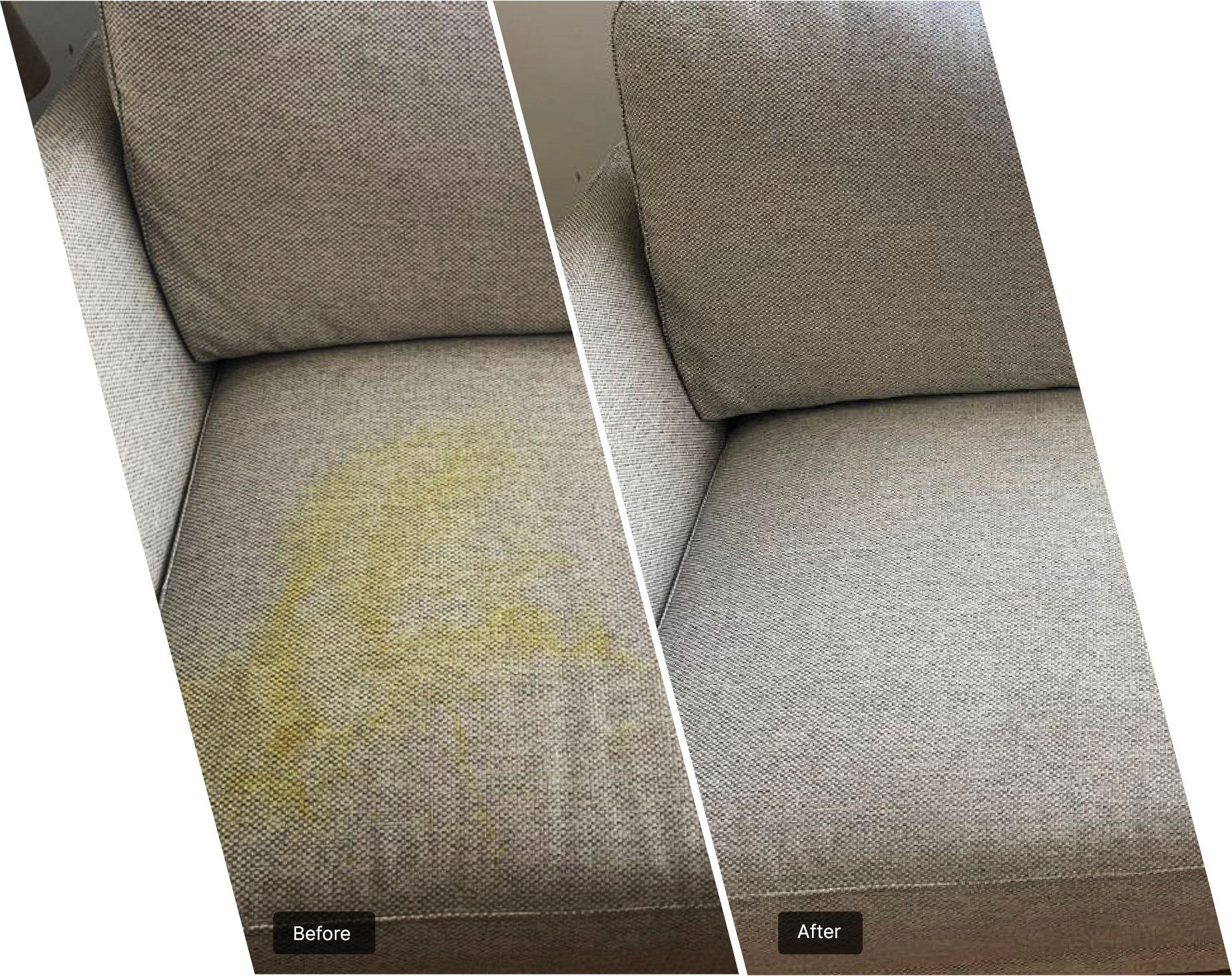 Best no 1 sofa cleaning manor park top rated upholstery steam