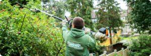 Gardeners Hampton