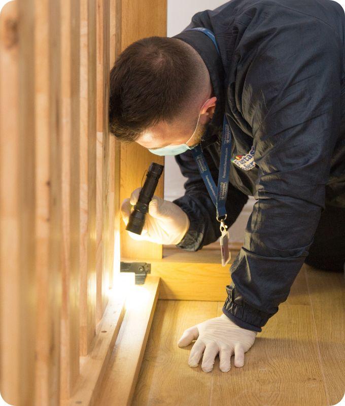 Bed bugs inspection