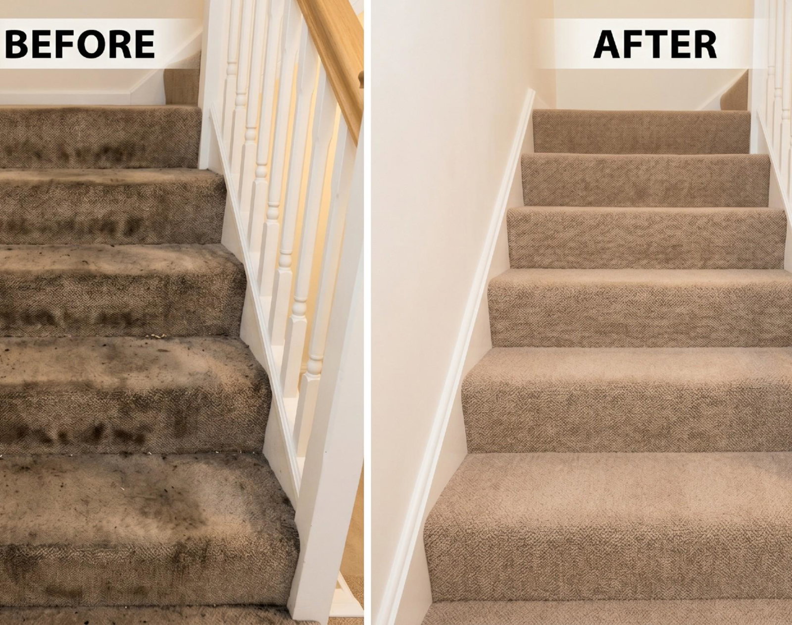 affordable carpet cleaning new malden local carpet cleaners new malden