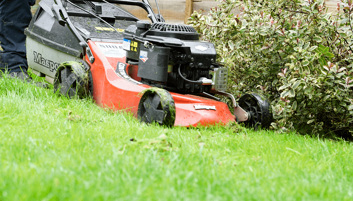 gardening services thumb Weeding