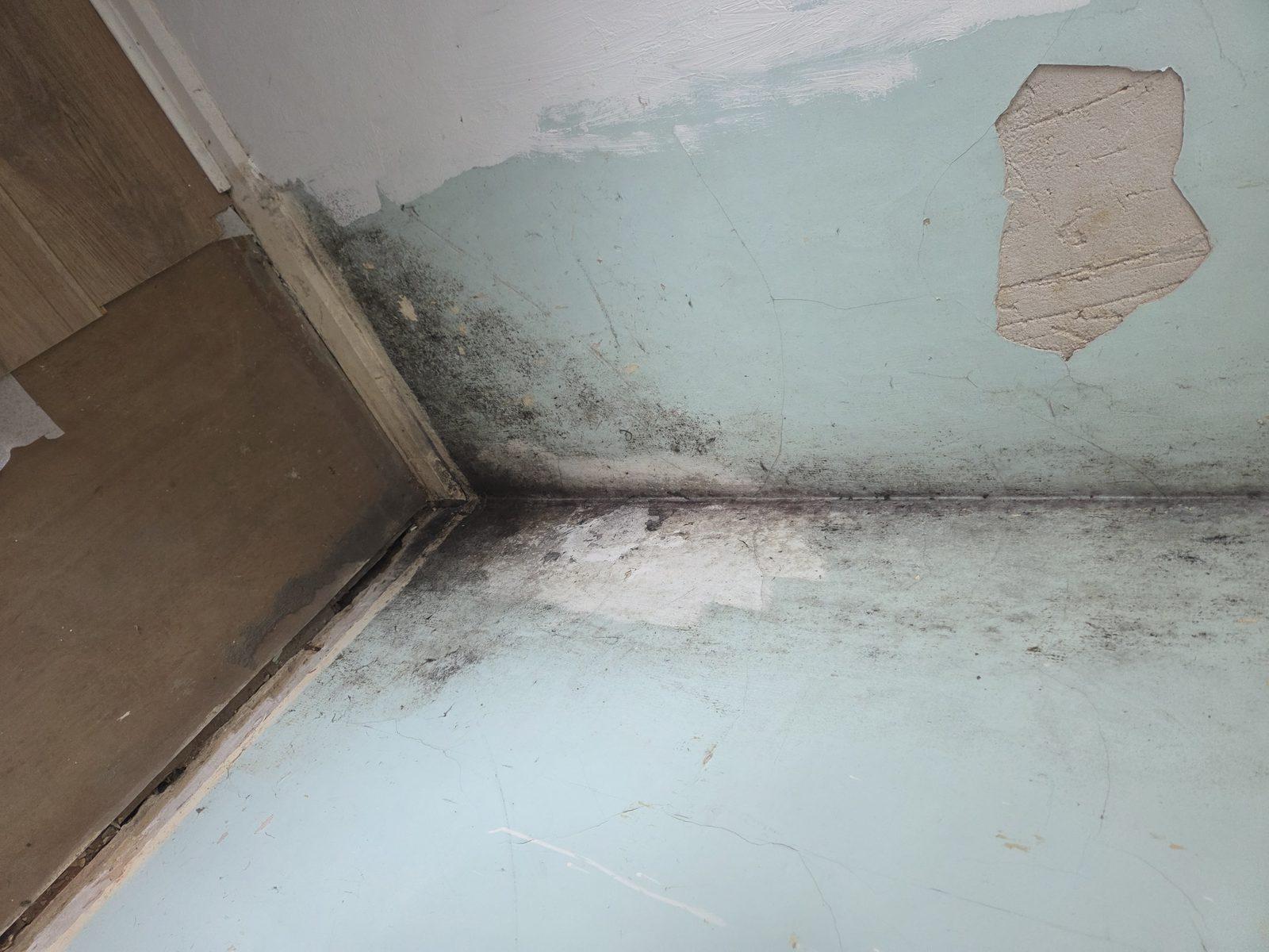 N4 before mould removal