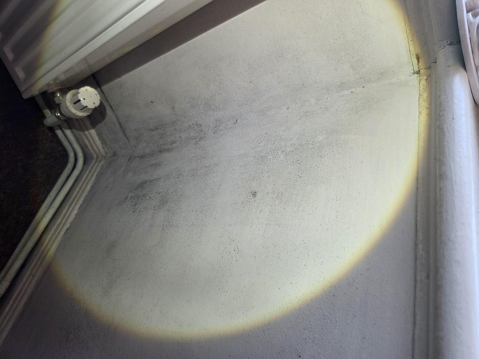 SE16 before mould removal