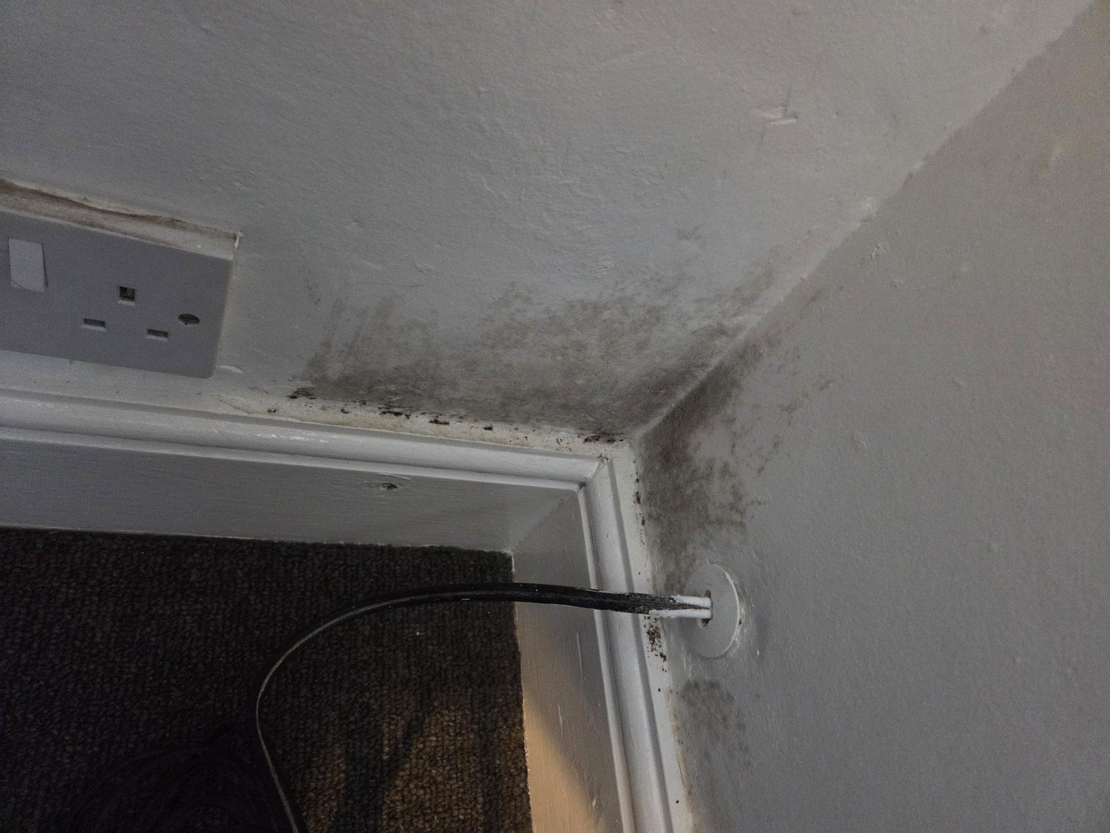 SW16 before mould removal