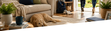 Clean cream carpet and fabric sofa in a sunlit London family living room with a dog resting on the rug