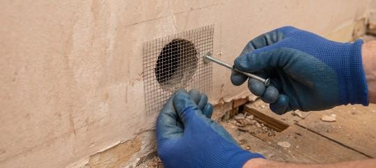 pest proofing services against rodents